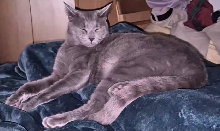 Quina mandra i quines ganes alhora de tornar a la feina demà després de més d'1mes de baixa
Rependre la meva vida m'es necessari. Suposo que es normal 🌞🌞🥰🥰