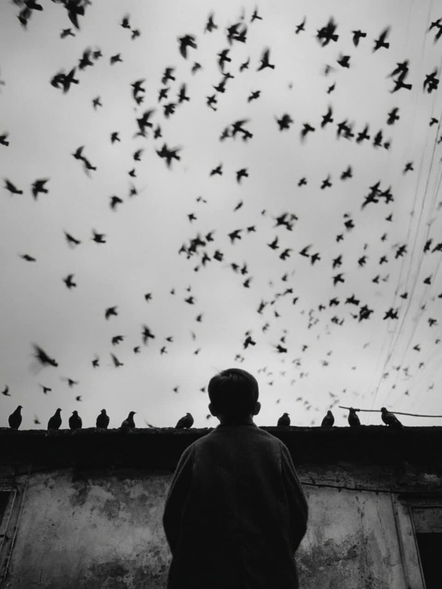 "Cada persona que pasa por nuestra vida es única.  Siempre deja un poco de sí mismo y se lleva un poco de nosotros.  Habrá quien haya tomado mucho, pero nunca habrá quien no haya dejado nada..."

           - Jorge Luis Borges.