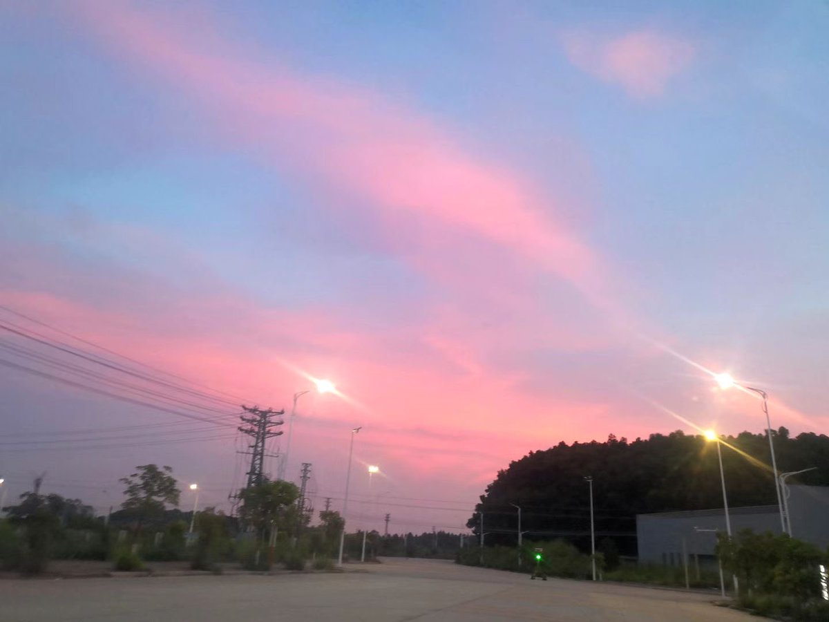 小猪佩奇 tweet media