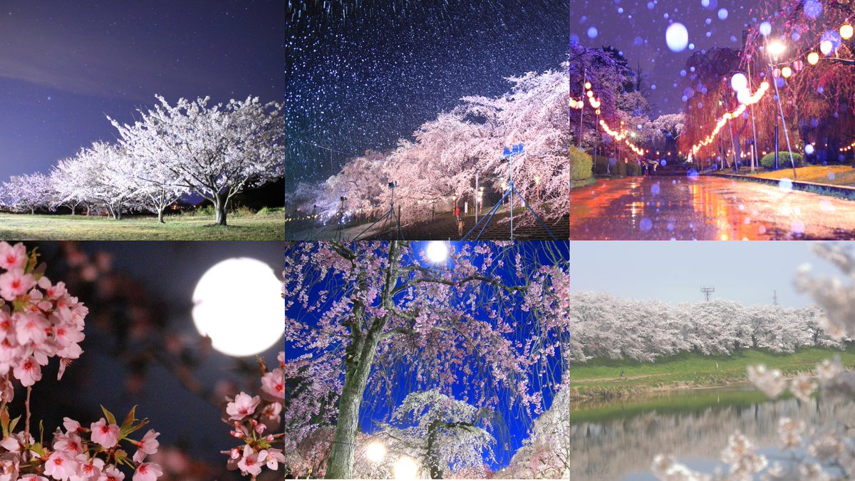 📸#れおんの写真館📸 tweet media
