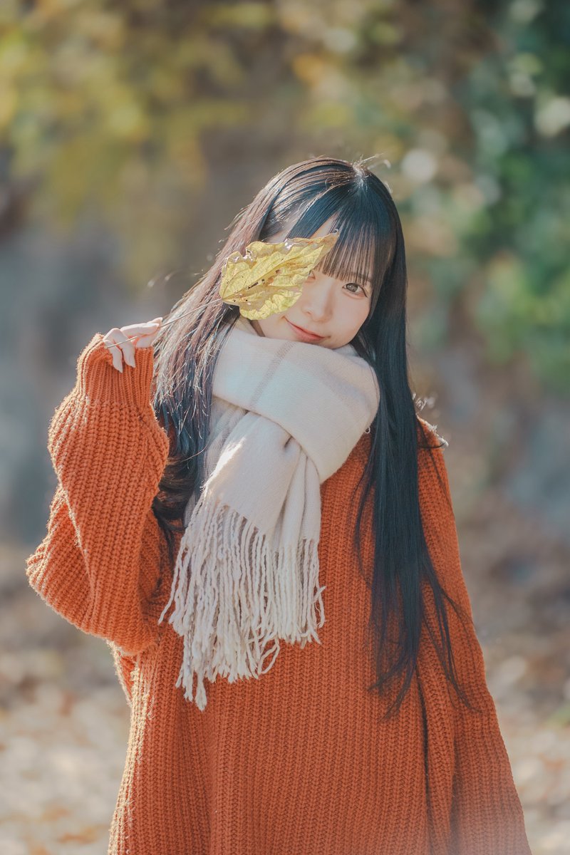 ykit's tweet photo. 秋の忘れもの。

#さくまるくらげくらぶ
#てんりゅうフォト手帖 https://t.co/WN78X8EVCa