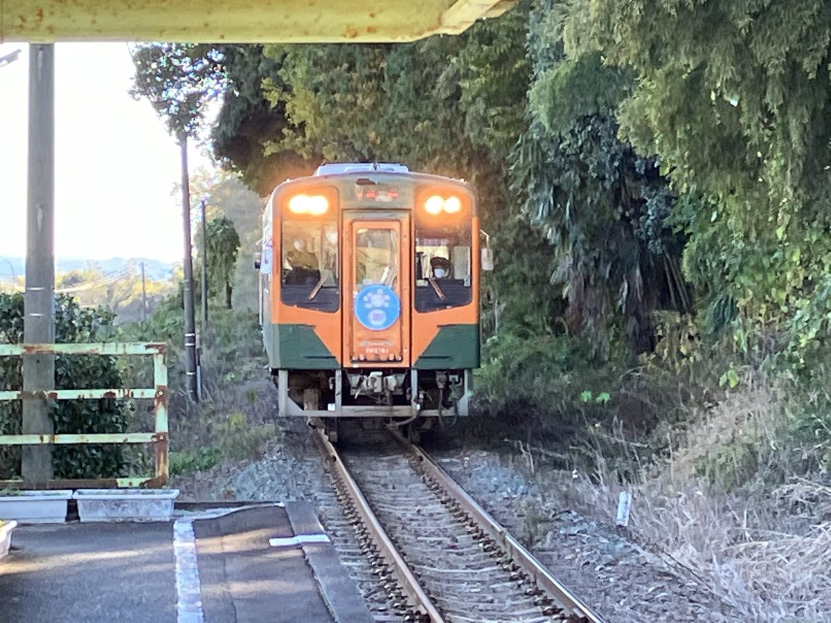 しずく💧 (@I852hXnnkIQQg0q) / Posts / X