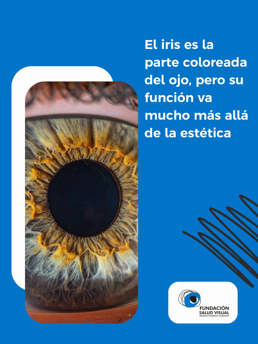 👁️ Es la parte del ojo encargada de regular la cantidad de luz que entra, actuando como un “diafragma natural” que protege la retina y ayuda a mantener una visión nítida.

#Funsavi #SaludVisual #Visión