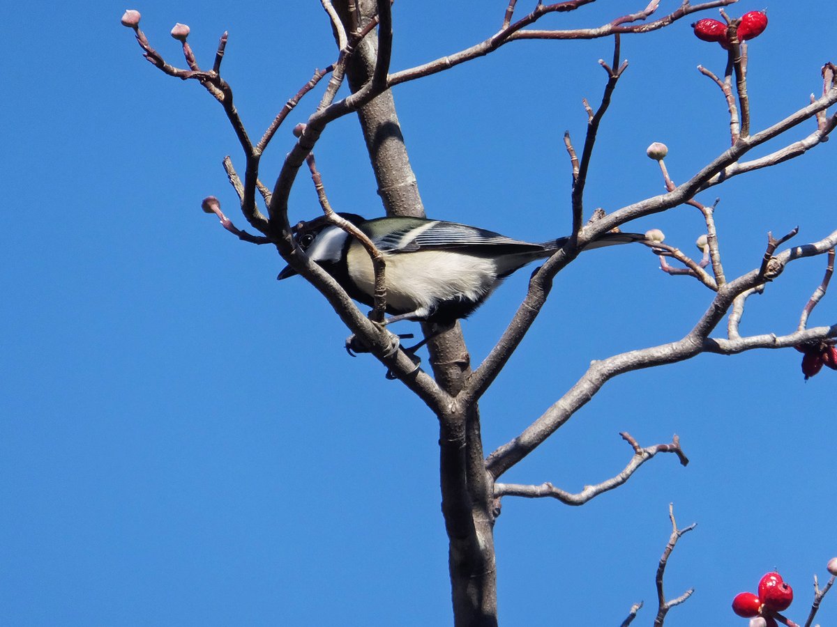 Frank (@Frank16384) / Posts / X