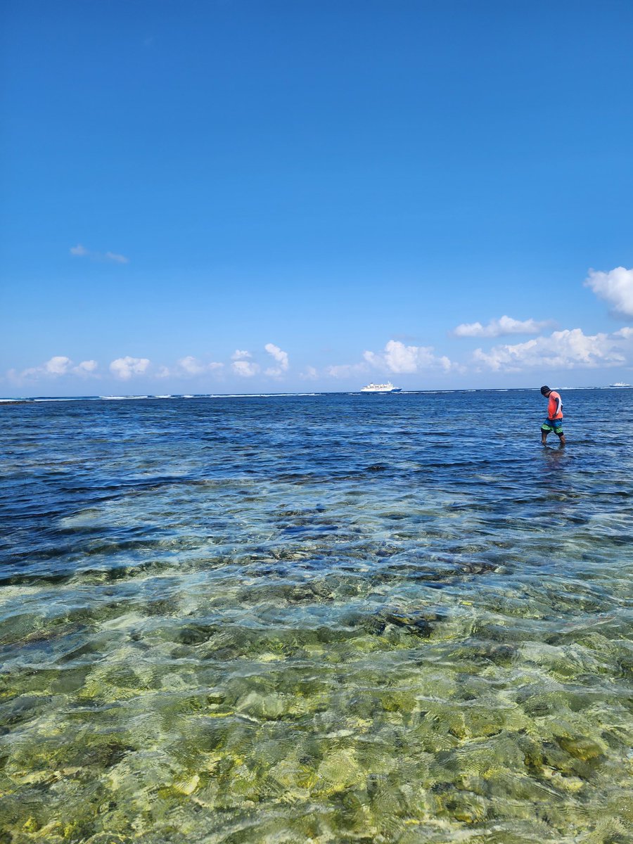 Lihat temen2 dps T0 hard coral di serangan, cuma bs bilang "nitip kawasan konservasi bali selatan ya"

Ternyata gini ya rasanya jd yg babat alas project, tp belum kelar udah ninggalin huhu sedihnya ada banget sih, walopun pas ngerjain sambil haduh haduh tolong 🥹🫶🏻