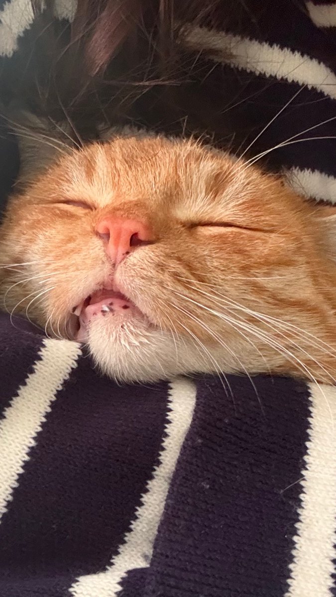 Ağza bakın ve gününüz neşelensinnnn