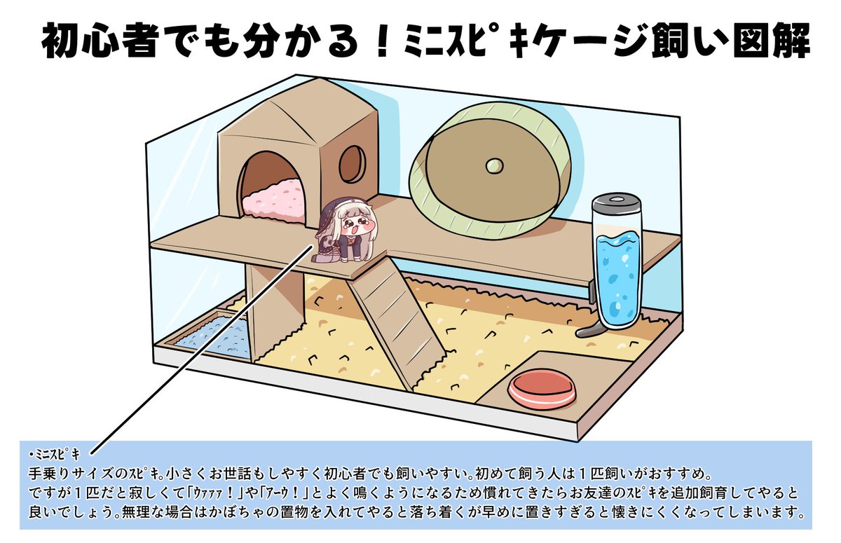 waremono_419's tweet photo. ｽﾋﾟｷをケージ飼いしたすぎて図解を描いてしまった…なんというかハムスターとかの小動物的なかわいさがあるんだよな…
#トリッカル https://t.co/rwaMxqbCWs