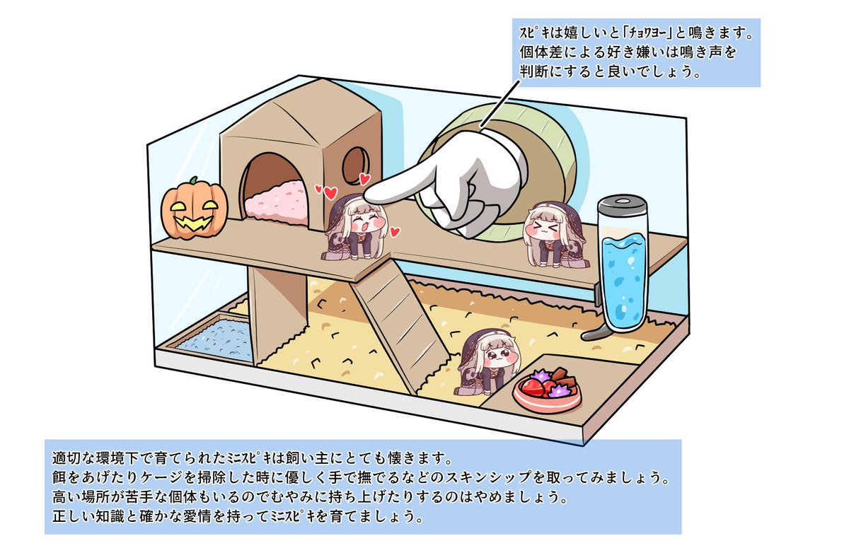 ｽﾋﾟｷをケージ飼いしたすぎて図解を描いてしまった…なんというかハムスターとかの小動物的なかわいさがあるんだよな…
#トリッカル