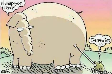 Emre (@emreandolini) on Twitter photo 