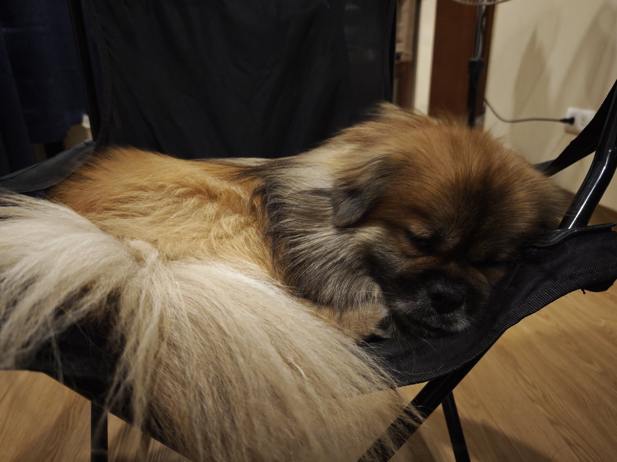 RayeenxD's tweet photo. ZZzzZzz https://t.co/FQujQqLL1V