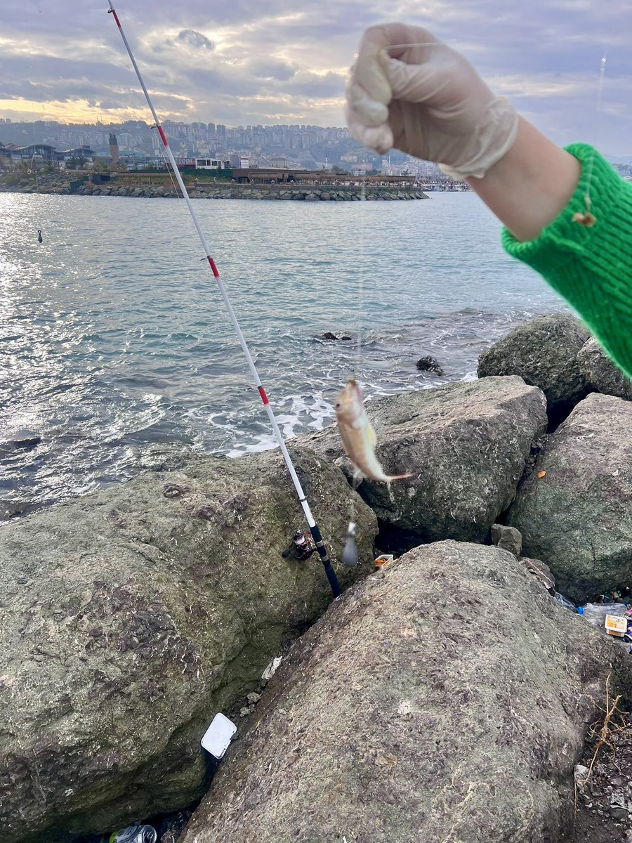 Amatör balıkçılık 👌🏻🎣