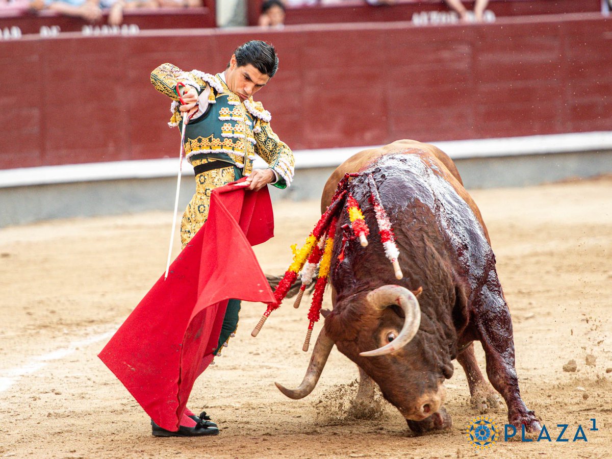 Valdemorillo.

Uceda Leal, Juan Ortega y Pablo Aguado con toros de Torrealta.

Para no perdérselo.