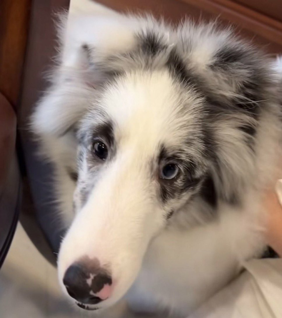 สเปเช่ว เกส ลำดับที่ 1 #BILLKINCONCERT2026