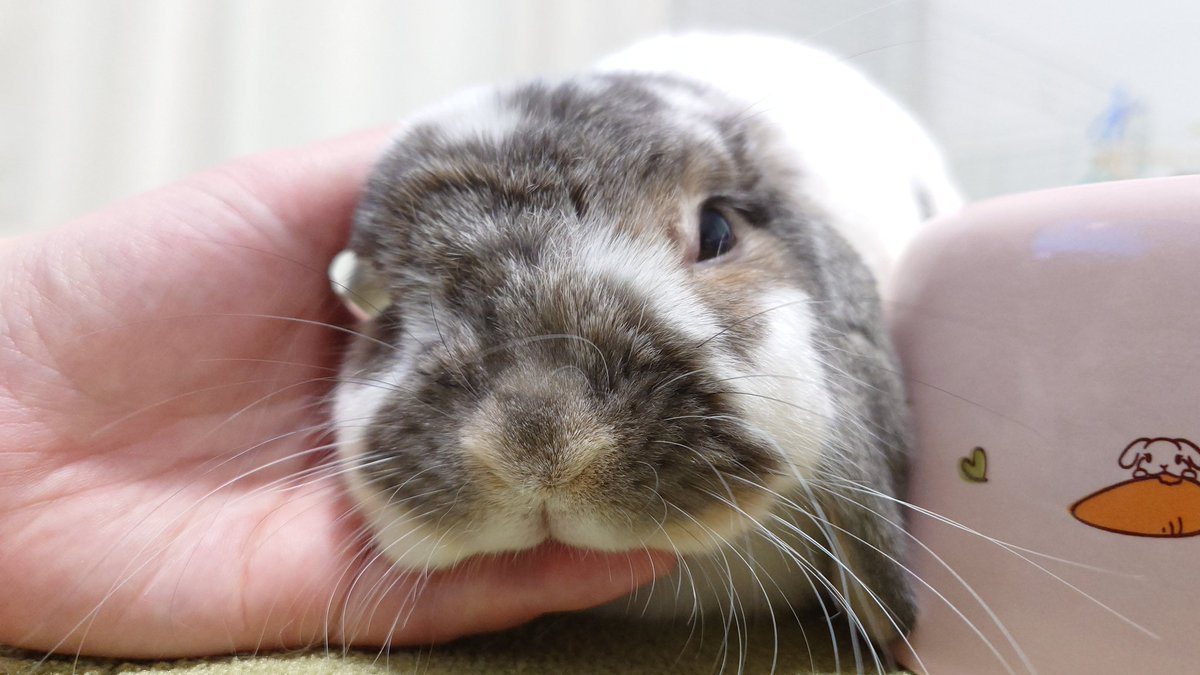 たまには甘えたい