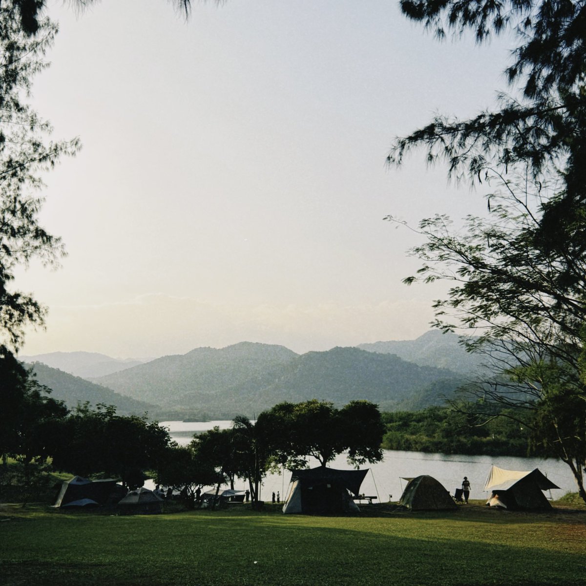 it's time to touch some grass 🏕️🍃🪿