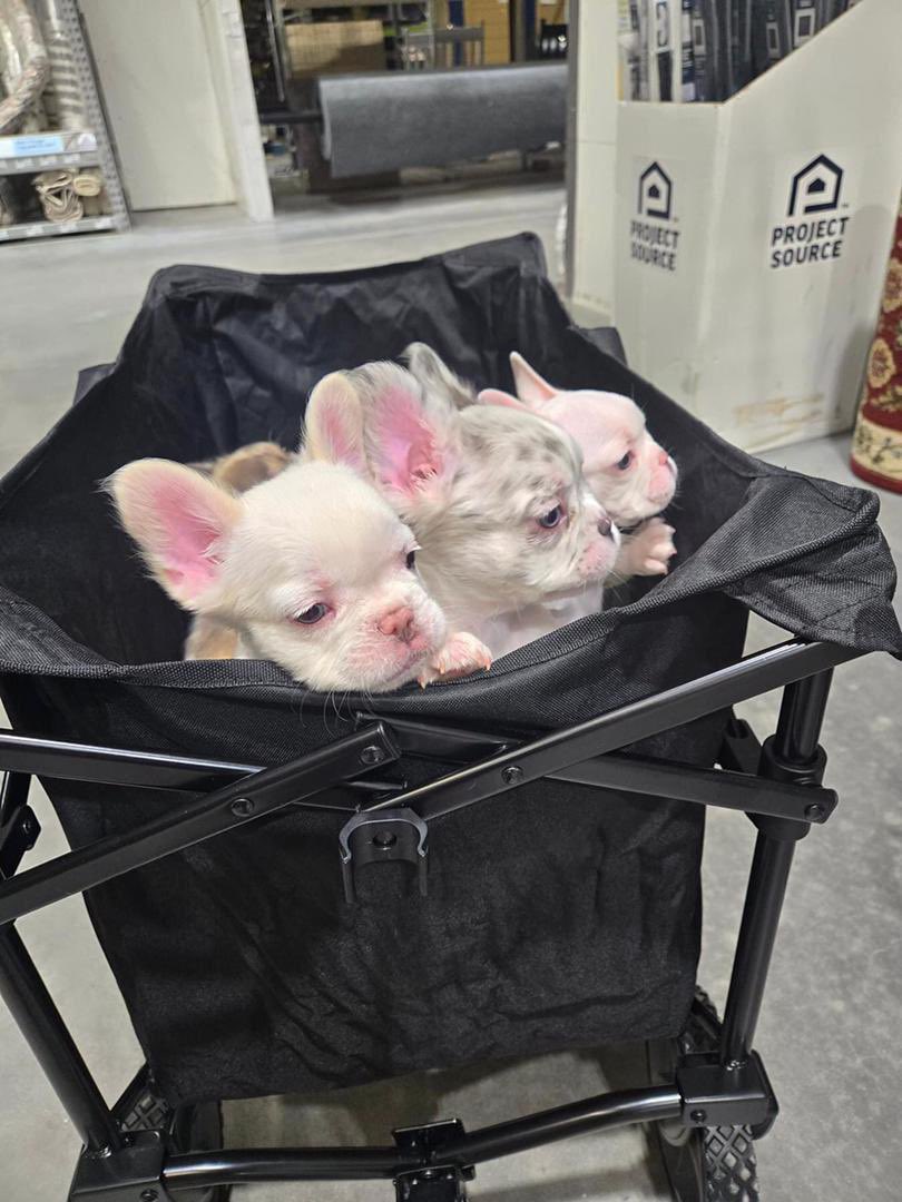 PilotPatrick tweet media