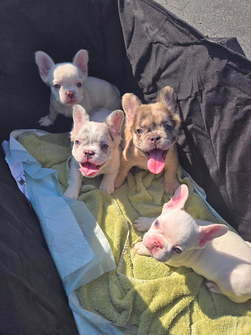 PilotPatrick tweet media