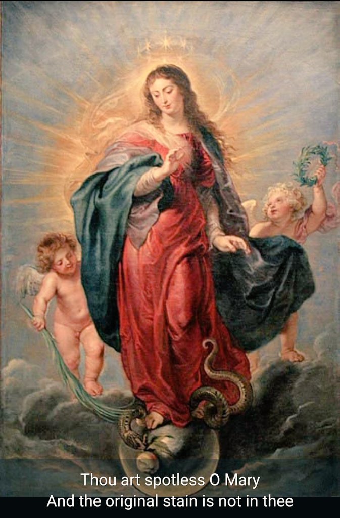 FrOkerulu's tweet image. Blessed Feast of the Immaculate Conception of the Blessed Virgin Mary! 

Thou art all spotless O Mary! And the original stain is not in thee!