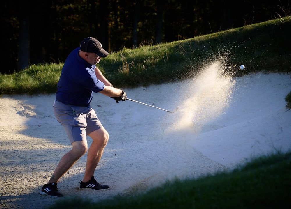 Preserved Links tweet media