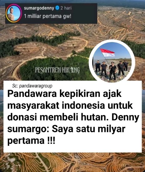 Sumatera Adil & Federal tweet media