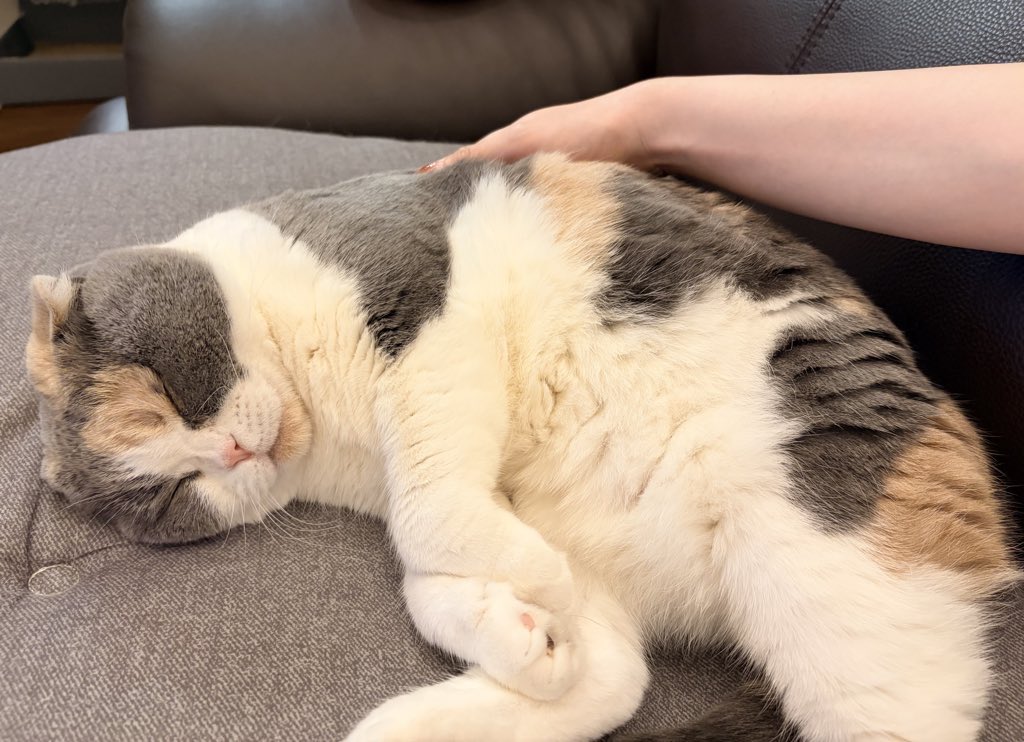 うなぎ(うなちゃん) (@una1535) / Posts / X