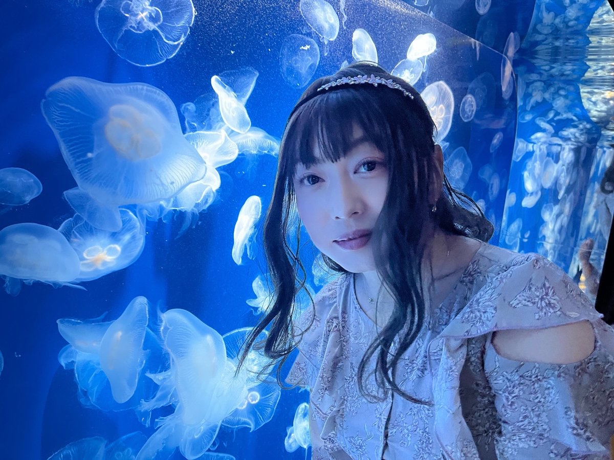 クラゲさんへ ベニクラゲ（Turritopsis）・川崎悟司イラスト集