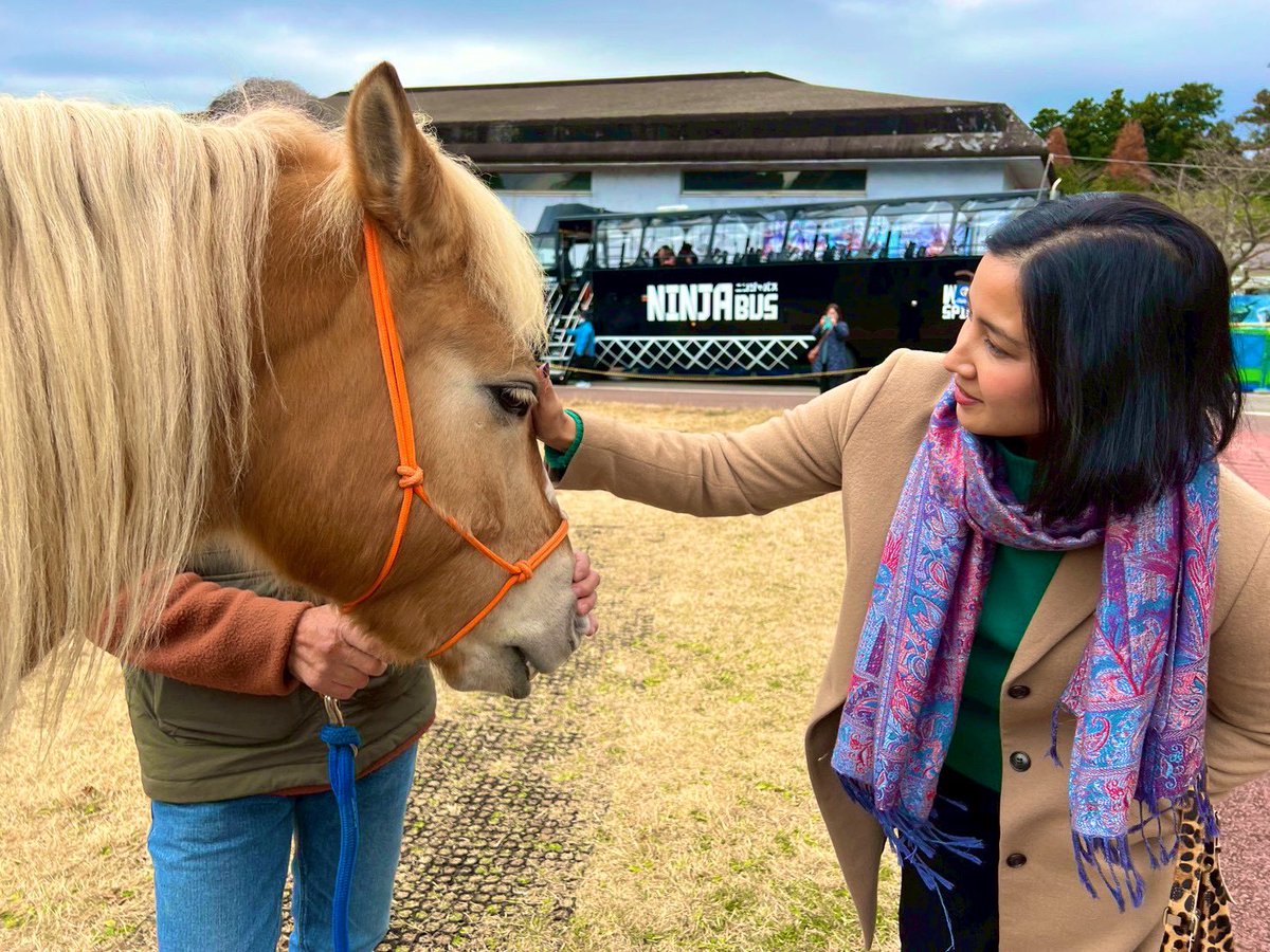 第38回箱根ヨコワケハンサムワールド GTへお越し下さった皆様