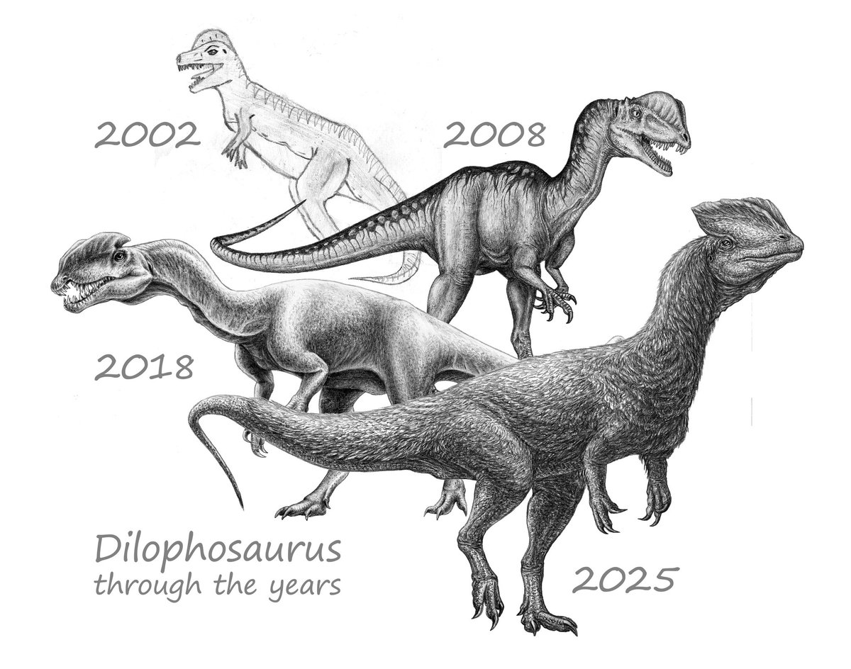 dimasaurus_art's tweet photo. My favourite dinosaurs through the years in my art
#paleoart #paleontology #Pencildrawing #dilophossurus #tianyulong https://t.co/CTQvq3AF6i