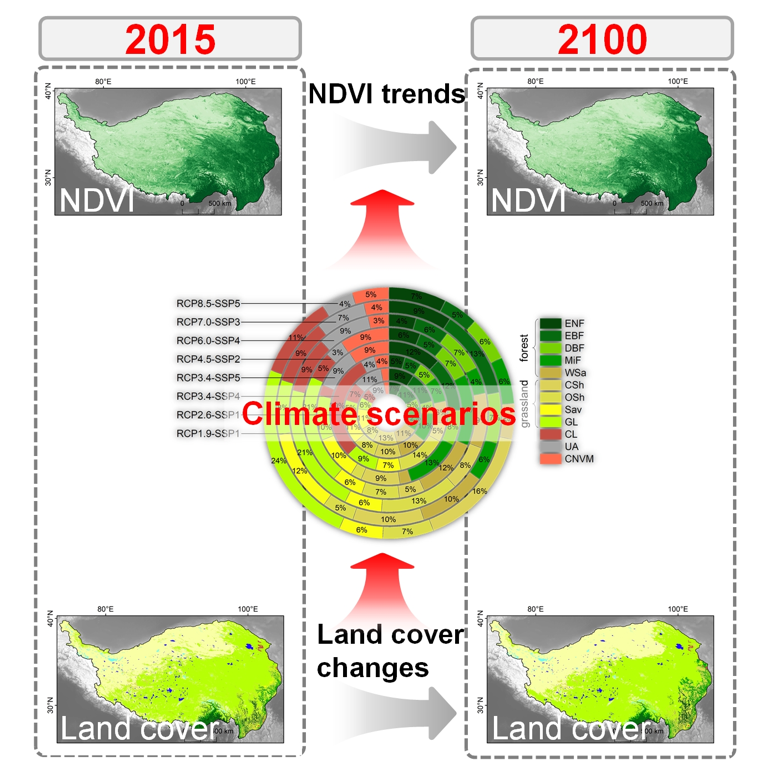 RemoteSens_MDPI's tweet image. 🌿🌳 #Vegetation Trends Due to #LandCover #Changes on the Tibetan Plateau for 2015–2100 Largely Explained by #Forest

✍️ Fangfang Wang and Yaoming Ma
🔗 brnw.ch/21wYaLg