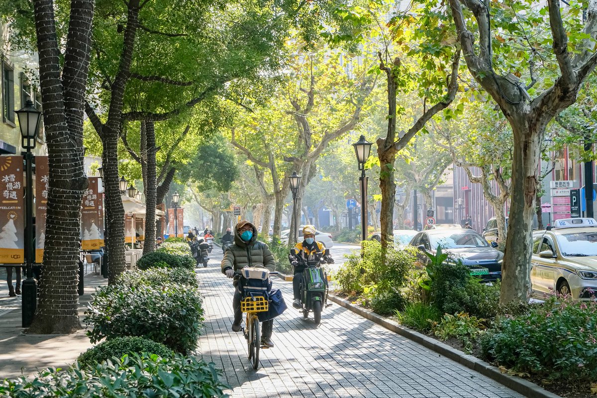 Melissa & Chris Bruntlett tweet media