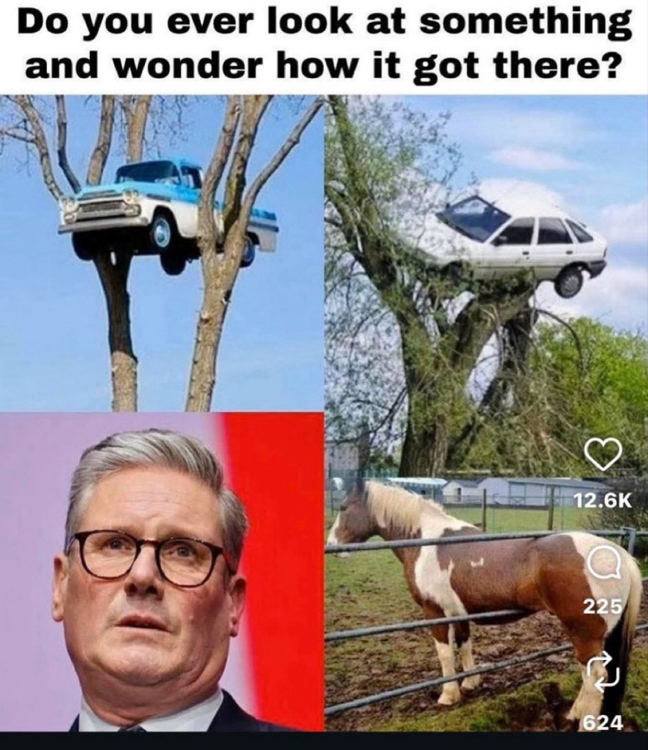 NoFarmsNoFoods's tweet image. 