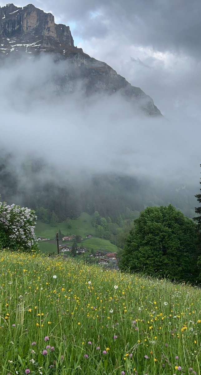 جوهرة الريف السويسري جريندلوالد تعتبر من أجمل  المناطق السياحية في سويسرا وتمتاز بالطبيعة الخلابة وتبعد عن انترلاكن 20 كيلو وهي خيار مناسب للسكن صيفاً لهدوءها وروعة أريافها 
تصويري للبلدة 
احداثية السنتر
N 46 37.425
E008 02.567