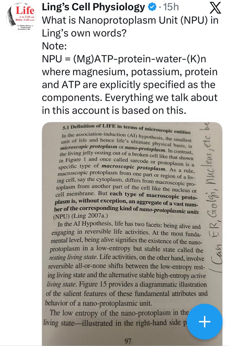 aihtheory's tweet image. Maintaining sufficiency in #magnesium, #potassium, and in supply of gelatin / glycine help protect cells against #endotoxin by stabilizing mitochondrial energy, supporting gut barrier integrity, and lowering inflammatory signaling. 

In the AIH/NPU framework, these nutrients