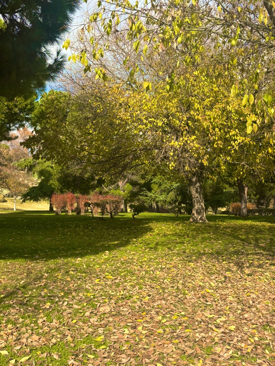 Tirada al otoño, la frase no es mía pero me la quedo … #miscositas