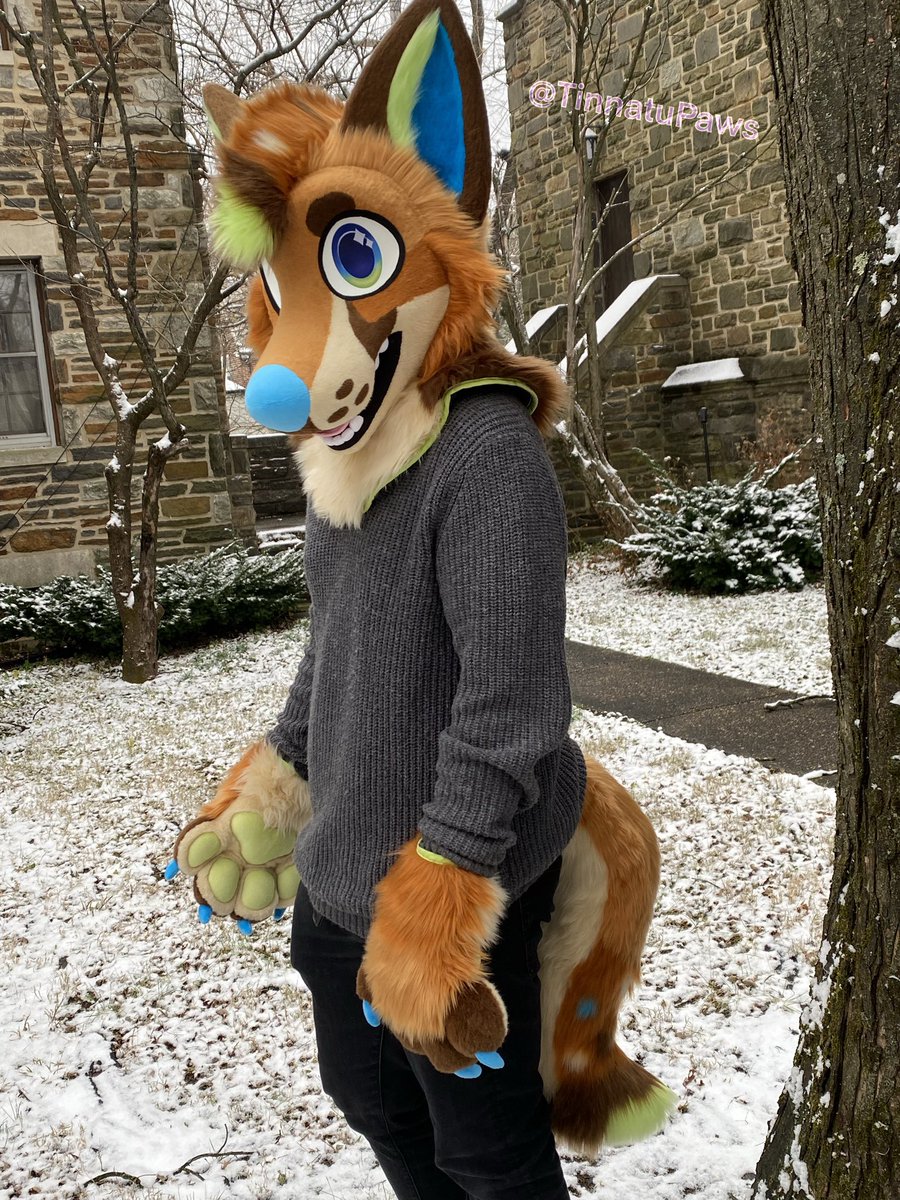 Tinnatu➡️FurTheMore tweet media