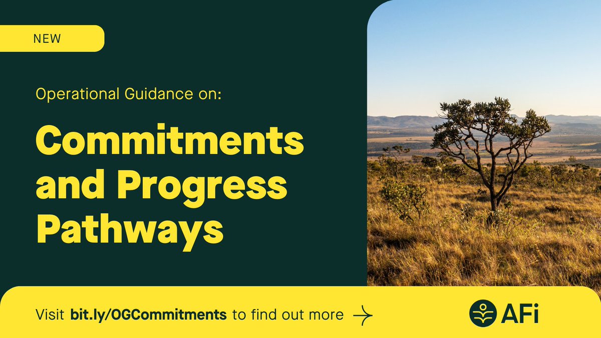 proforest's tweet image. New from @AcctFramework: New guidance to help companies and financial institutions:

✅ Set responsible supply chain commitments
✅ Create the stepwise plans and milestones
✅ Assess ambition levels, plans, and performance

🔗 Learn more: bit.ly/3XCOyh8