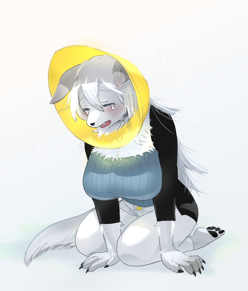 poyapoya00's tweet image. これかなぁ。カラー付きしょんぼり犬…
#今年も残りわずかなので今年一番伸びた絵を貼る