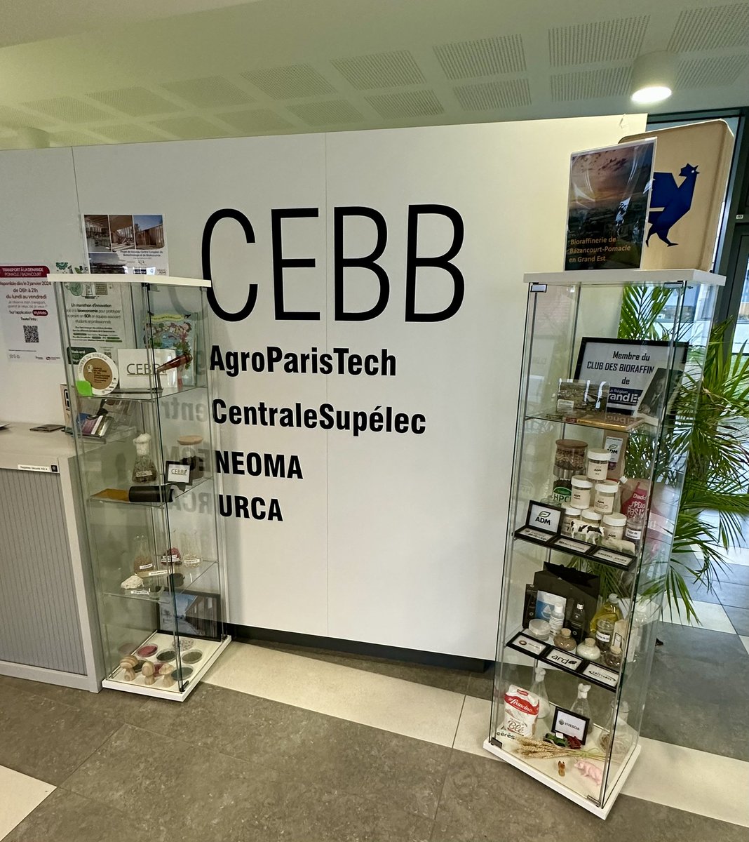 TDM_Group_'s tweet photo. Rencontre au CEBB avec Brahim Mazian (Chaire CentraleSupélec) pour faire le point sur nos avancées en fibres biosourcées 🌱
Avec @TDM_Group_ Innovation, nous créons une passerelle unique entre biotechnologie et textile durable
#TDMGroup #Innovation #Biotechnologie #TextileDurable https://t.co/Mskxtz2iw7