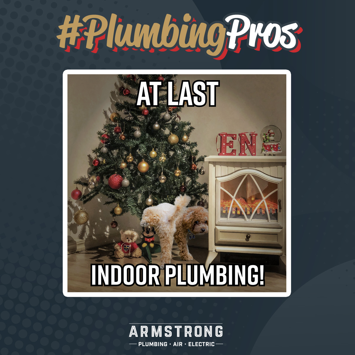 ArmstrongServ's tweet photo. Even the dog knows good plumbing when he sees it! 😂🚰 Keep your home’s plumbing running smoothly this holiday season with Armstrong. https://t.co/1Nye6A3N7a #PlumbingPros #BetterCallArmstrong https://t.co/WkSqki9gHf