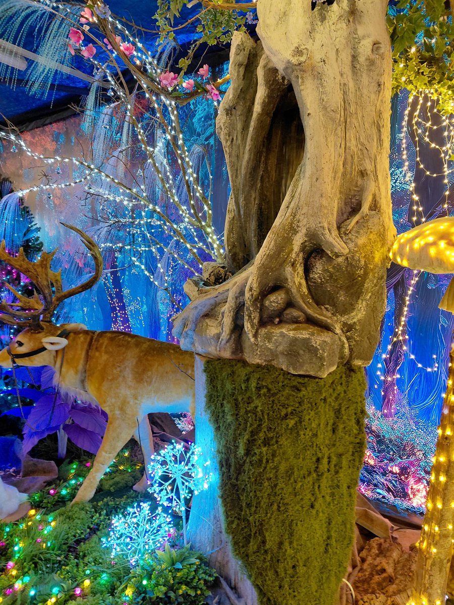 Valentina tweet media