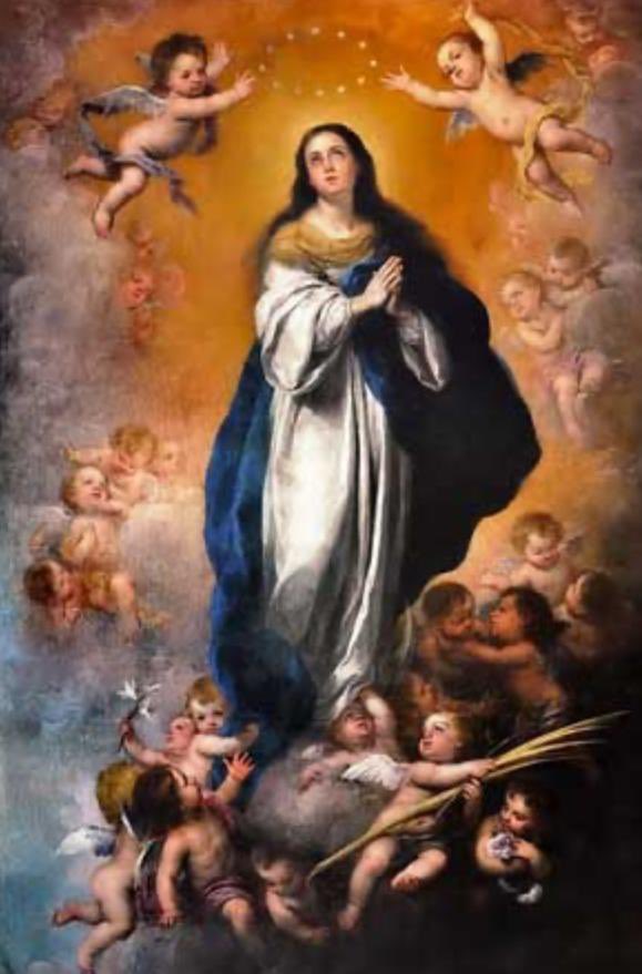 Xavier Orendáin De Obeso tweet media