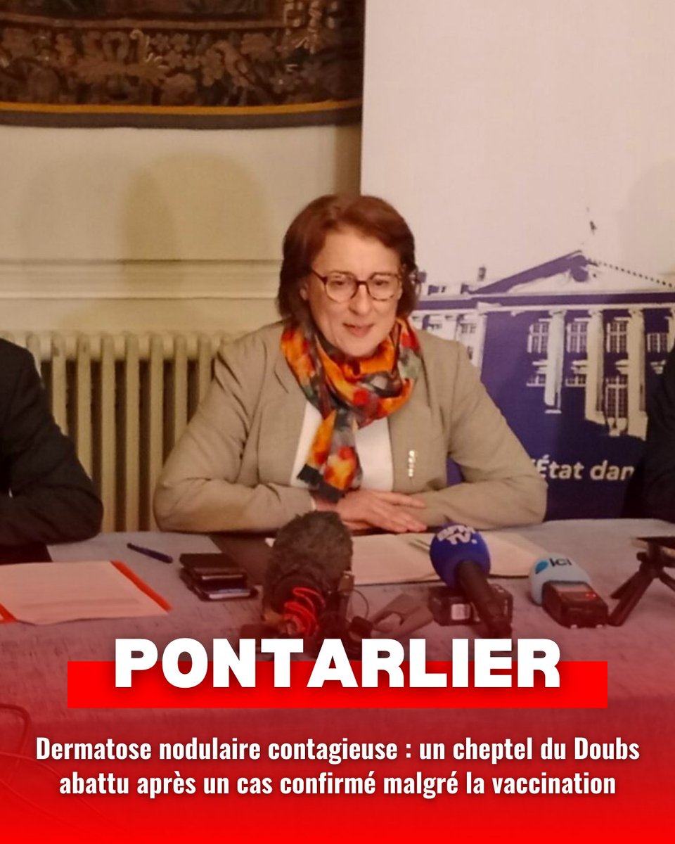 🐮 Un cas confirmé de dermatose nodulaire contagieuse dans un élevage de Pouilley-Français a conduit la préfecture du Doubs à ordonner l’abattage complet du cheptel.

➡️ Découvrez l'article en intégralité : pulse.ly/uakth5jxo5