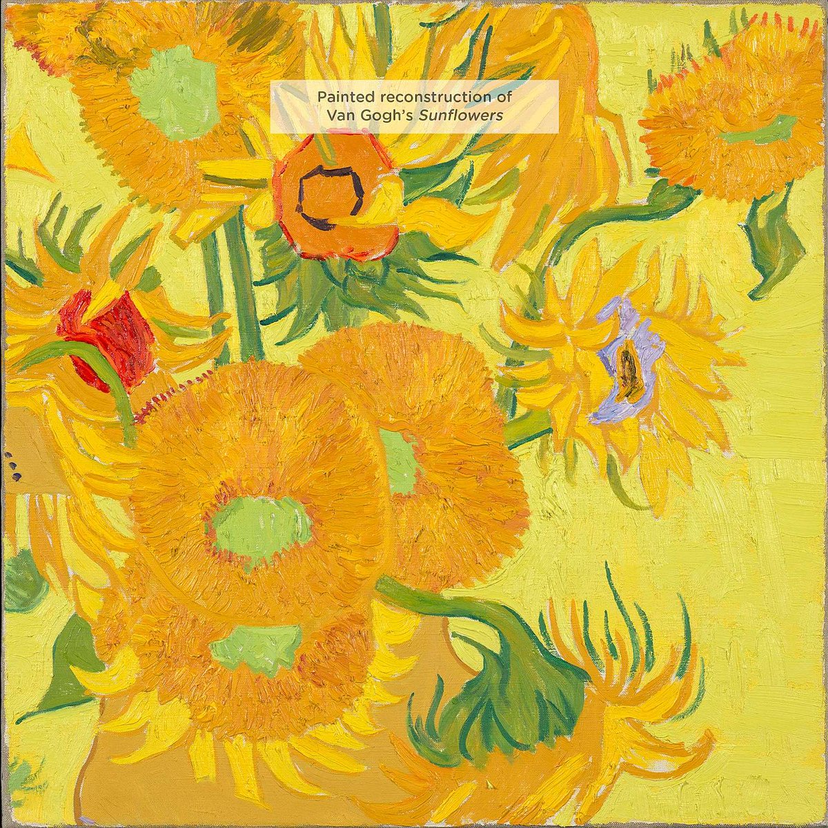 vangoghmuseum's tweet photo. 🌻 Does the bright yellow make you squint a little? Believe it or not, the dazzling colours you see in Van Gogh’s Sunflowers today aren’t quite what they once were.

Van Gogh painted the work with three types of chrome yellow. In the more than 130 years since it was painted, those pigments darkened – especially in the flowers and the lower background. Scientists recreated the paints he used and applied them in a reconstruction: instead of today’s deeper tones, the flowers once glowed a vivid, almost orange hue!

It’s a reminder that colours live, change, and age.