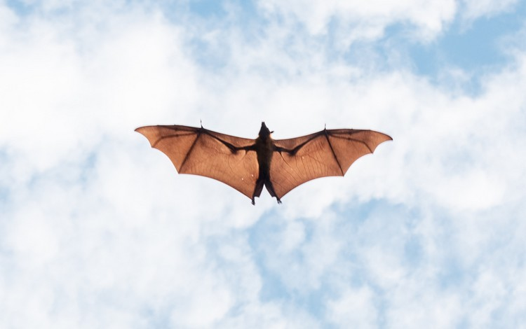 legalnewsfrance's tweet image. Quelle incidence sur la DUP d'un refus d'évaluation illégal ?
#EvaluationEnvironnementale #illégal #DUP #DéclarationdUtilitéPublique
legalnews.fr/public/environ…