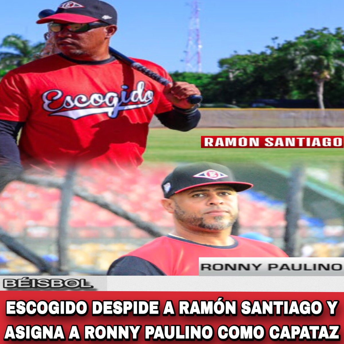 informedeporti's tweet photo. DEPORTES ID| Los Leones del Escogido informaron este lunes que despidieron al dirigente Ramon Santiago y anunciaron que Ronny Paulino asumirá el puesto de capataz.

#Lidom #LeonesDelEscogido https://t.co/dlwASmIcqV