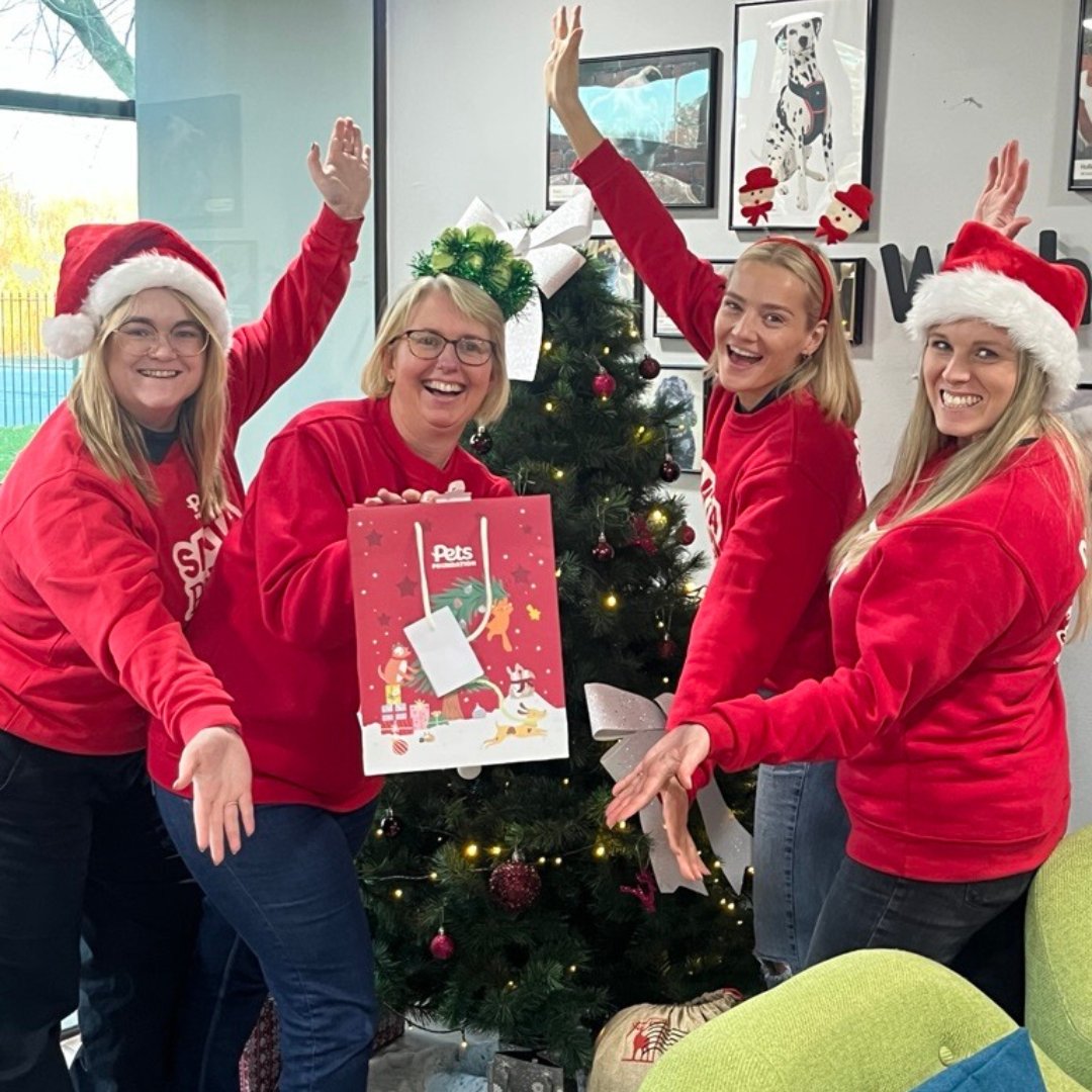 petsfdtnuk's tweet photo. 🎅🐾 NEW & LIMITED EDITION!
Santa Paws gift bags are here – grab yours in your nearest Pets at Home store, and 50p goes to your local Community Partner helping rescue pets this Christmas. Don’t wait – they won’t last long!
#SantaPaws2025 #SantaPawsAppeal #GiveBack #PetsInNeed https://t.co/xGTpJv8Oc0