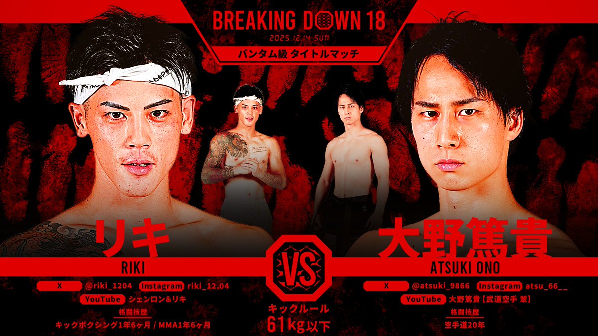 りき様 トリックスター / ZX-10RR(19-20) 政府認証スリップオンマフラーIKAZUCHI