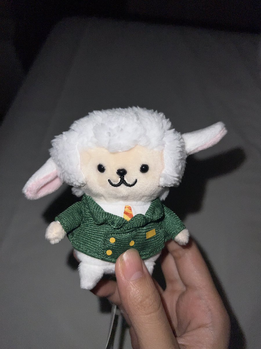 ホテルルートインのキャラクター、ルートンのぬいぐるみ
縫製ミスでこの子だけ右耳がぴょこんと上がっていて、愛おしくて買ってしまった
ホテルマンらしいフォーマルな服装もso cute