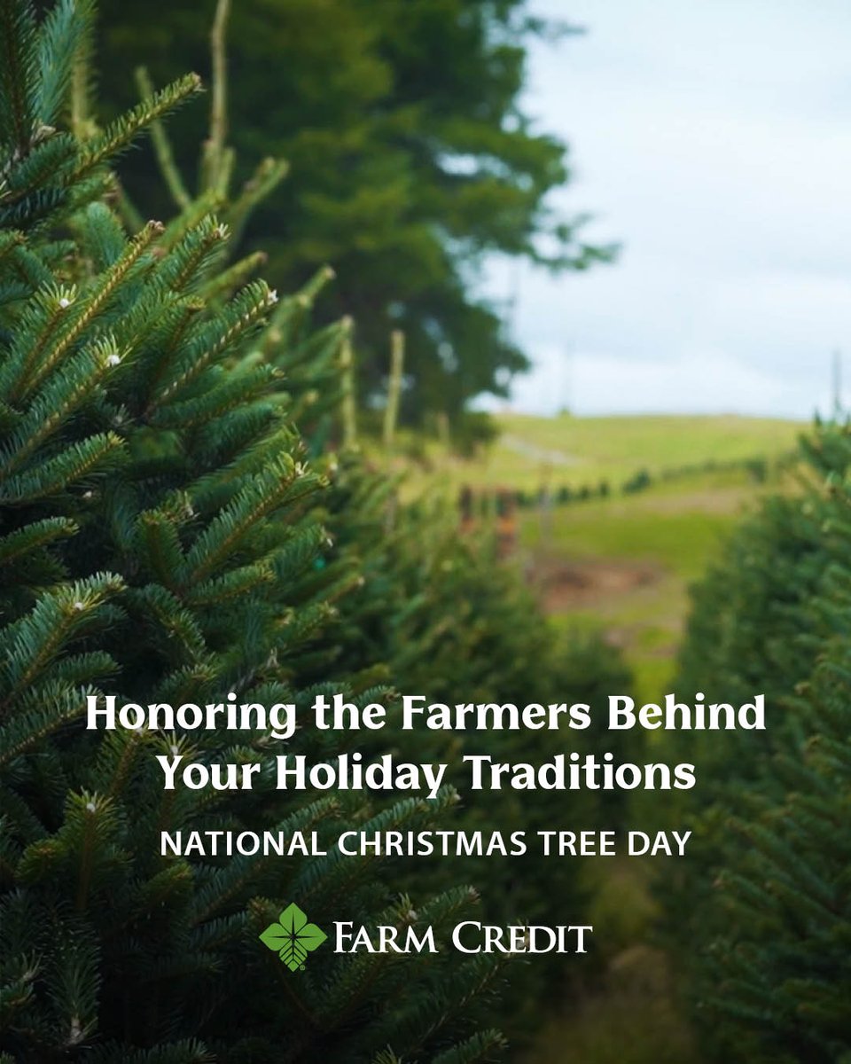 Today we’re celebrating the farmers behind your favorite holiday traditions. 🌲
Happy National Christmas Tree Day!