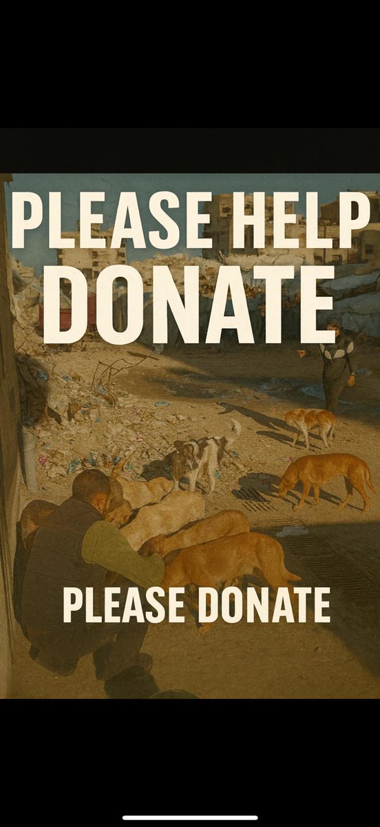 Hishamsousi's tweet image. "We gave them the necessary flea treatment and continue to provide food and water daily 🙏  
Support from friends means a lot. I truly wish I could do even more for these innocent dogs 🐾  
paypal.me/HishamSousi  
🙏🐕🐾🕊️🫂
#HelpStrays #AnimalCare #Donate #SaveTheDogs"